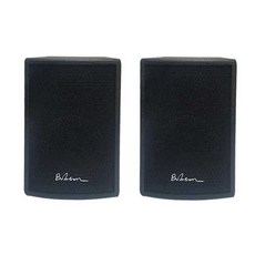 바바슨 professional loud 스피커 150W 2p세트 블랙, CS-6.5