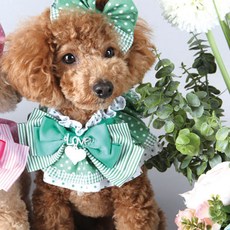 POP PUPPY 棒棒糖小斗篷點 S, 綠色, 1個