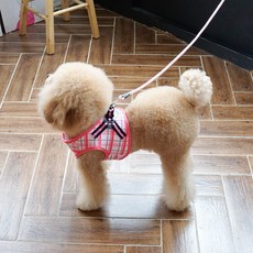 RealPet Vivaing 背心式胸背帶, 粉紅色