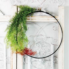 Garden in the City Gary Vine Harmony, 紅色的, 1個