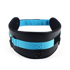 LIVEPRO 泡沫芯起重腰帶, 黑色的