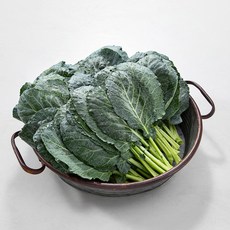 국내산 케일, 2kg, 1박스