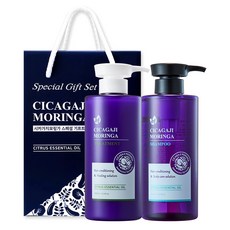 어썸포뮬러 모링가 시카 가지 단백질 약산성 두피 샴푸 500ml + 트리트먼트 500ml + 선물박스 세트, 1세트