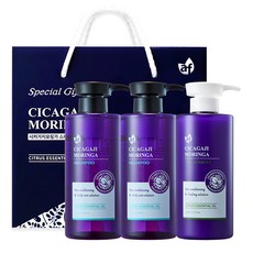 어썸포뮬러 모링가 시카 가지 단백질 약산성 두피 샴푸 500ml x 2p + 트리트먼트 500ml + 선물박스 세트, 1세트