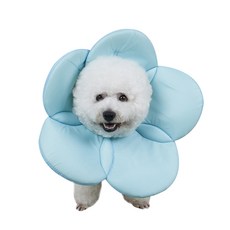 Dreamforpet Agnes 寵物防舔頸圈 A04 M, 1個