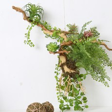 萬壽菊造型造景, 混合顏色