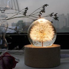 Yeopdongnemol 蒲公英水晶球小夜燈, 混色