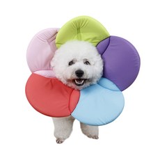 Dreamforpet Agnes 寵物防舔咬頸圈 A01 L, 1個