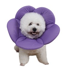 Dream Poppet Agnes 寵物頸圈 A06 S, 1個