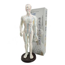 Partybok 人穴位人體模型, 1個