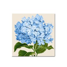 ADICO DIY 彩繪 藍色繡球花 E47 25x25, 混色