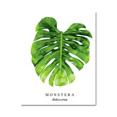 ADICO DIY 繪畫 Monstera E41 40x50, 混色
