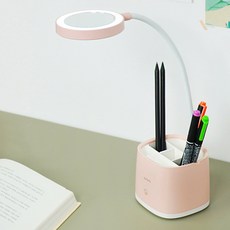 와사비망고 블룸블룸 미러 LED 스탠드 ST01 Mirror, 핑크