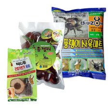 Bugs Zone 獨角仙用品套組, 混合顏色, 1套