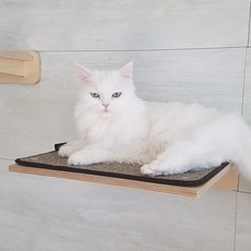 Bris Cat一步一腳印貓咪壁架, 1個, 棕色的