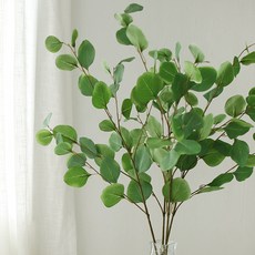 THE FLOWERMARKET 人造桉樹枝, 淺綠色, 3入