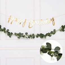 Joyparty 葉花環桉樹 C 2m, 綠色