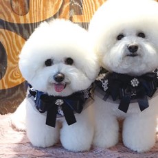 POP PUPPY 愛寵愛伊芙琳斗篷 S, 海軍, 1個