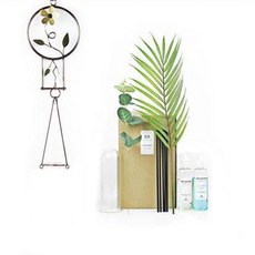 壁掛式擴香組 1號款, 檸檬櫻桃, 1個, 200毫升