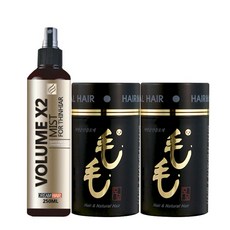 흑채모모 순간증모제 자연검정 23g x 2p + 볼륨엑스투 헤어 미스트 250ml 세트, 1개