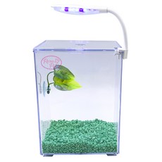 Rora Pet Beta房+床+地板+LED燈魚缸套組, 長青（地板），隨機發貨（LED燈）