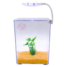 로라펫 베타룸 + 수초 + 바닥재 + LED조명 어항세트, 브릴리언트옐로우 + 랜덤 발송, 1개