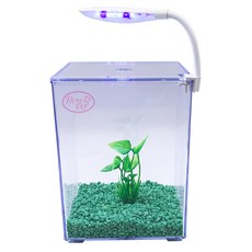 Rora Pet 鬥魚缸 + 水草 + 底材 + LED照明 魚缸套組, 常青綠 + 隨機出貨