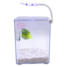 Rora Pet Beta房+床+地板+LED燈魚缸套組, 水晶白（地板），隨機發貨（LED燈）