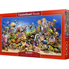 Castorland 珊瑚礁世界迷你拼圖 CS400089, 4000件, 混色