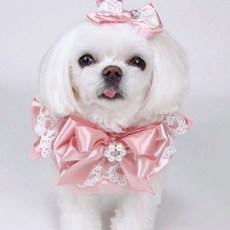 팝앤퍼피 반려동물 러브에블린 케이프 S, 핑크, 1개