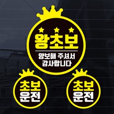 JEJEDECO 新手駕駛彩色汽車貼紙, 1個, 新手S014