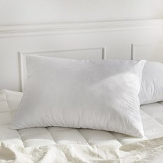 SHEZ HOME 拉鍊式壓花棉質枕頭, 白色
