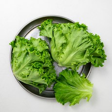 무농약 인증 바타비아, 200g, 1개