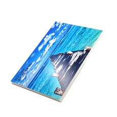 두릭스 RCP 러스터 포토용지 250g, 4X6, 100개