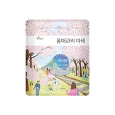 areumdre 瑪黛茶包, 1克, 100個