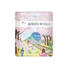 areumdre 南非國寶茶茶包, 1g, 100入, 1袋