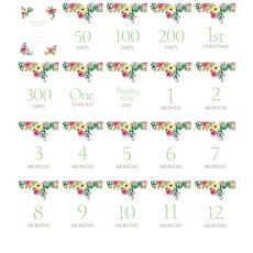 JUNIO&SENIOR 里程碑花卡 D 日日曆 20件套, 混色