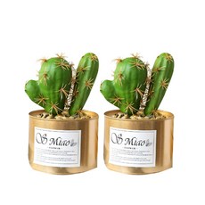 仙人掌盆栽 3球, 混色, 2個