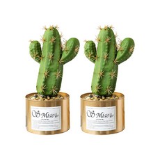 仙人掌盆栽, 深綠色, 2個