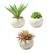人造多肉植物圓形花盆 3種組, C(680, 682, 683), 1套