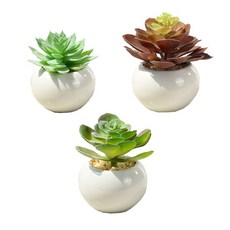人造多肉植物圓形花盆 3種組, D (686, 687, 689), 1套