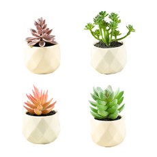 조화 다육이 미니화분 4종 세트, B(6, 24, 29, 33), 1세트