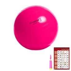 TOGU 健身球+打氣筒+運動海報, 粉色的