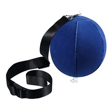 Master Ball揮桿練習器, 隨機發貨