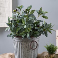 沼澤萬壽菊綠色人造花橄欖灌木 56cm, 混色, 1個