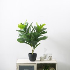 마쉬매리골드 인조나무 떡갈고무나무 65cm, 혼합색상, 1개