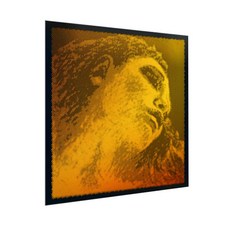 피라스트로 에바 피라찌 바이올린 현 세트, 골드, 1개