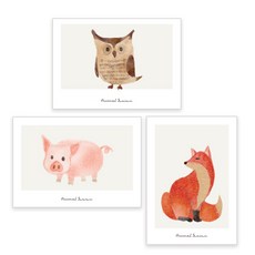지오플래닛 수채화 일러스터 동물포스터 붉은여우 + 돼지 + 부엉이