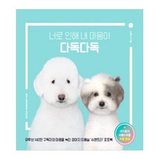 因你 安撫了我的心：, 吉帛, 修安樹 著