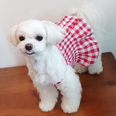 COCOMAPET 寵物格紋短版迷你連身裙, 紅色